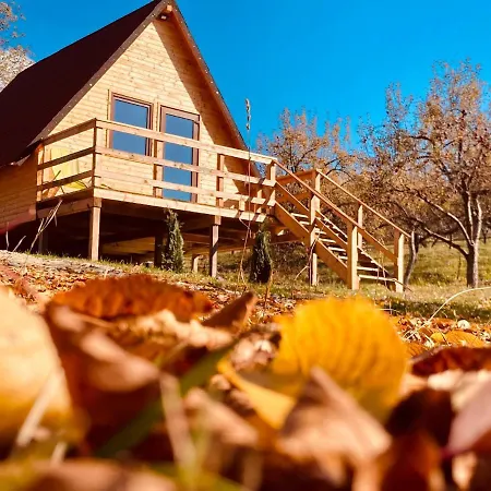 Camping Cabanele Lu' Dinu *